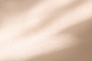 Autumn Background Beige Studio with shadow leaves on cement wall,Empty Backdrop Display Room with...