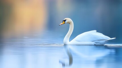 Obraz premium A white swan floats on a tranquil lake, surrounded by a lush, green forest with leaf-covered ground Above, the sky is a clear, uninterrupted exp