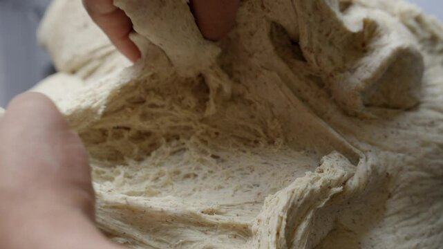Close up of bread dough stretching, sourdough with gluten 
