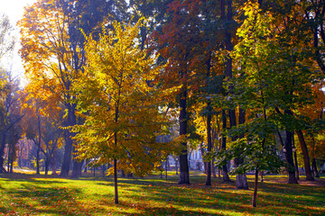 Golden colourful autumn in Maryinskyi park in Kyiv, Ukraine