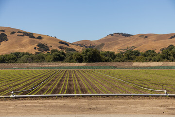 Irrigation system in the field