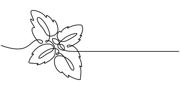 Basil leaves simple vector sketch drawing. One continuous line art illustration for background or pesto label design with lettering basil, Green basil one continuous line drawing art. Vector