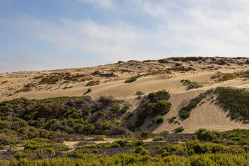 Sand dunes on the beach