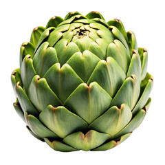 Obraz premium Bright green artichoke with tightly fitting leaves on a transparent background.
