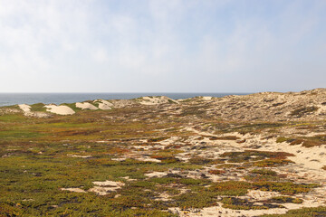 Sand dunes on the beach