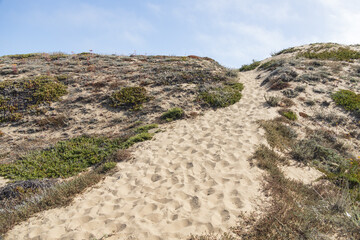 Sand dunes on the beach