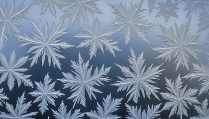Frosted maple leaves pattern on a glass surface creating a winter atmosphere
