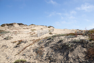 Sand dunes on the beach