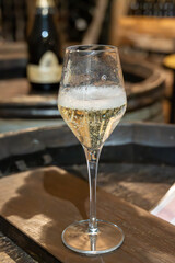 Tasting of grand cru sparkling brut white wine with bubbles champagne by old champagne caves in grand cru wine producer small village Cramant, Champagne, France