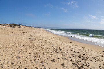 Beach on the Pacific Ocean