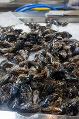 Large fresh live mussels freshly catched in Atlantic Ocean, at fish market in Andalusia, Spain