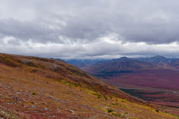 View of the stunning scenery in autumn colors of Denali National Park, Alaska, USA