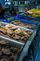 Fresh live different sizes oysters in market hall ready to be eaten for lunch from oyster-farming...