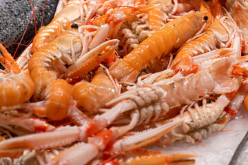 Assortment of fresh daily catch of prawns, seashells, molluscs on ice on fish market in Brittany, France, English translation: differens French names of seafood