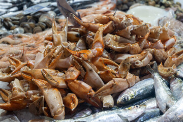 Assortment of fresh ocean daily catch of different Spanish crabs, molluscs, cuttlefish, on ice on fish market in Jerez de la Frontera, Andalusia, Spain