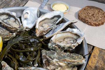 Plate with fresh live oysters with citron, bread, butter and white wine served on ice at restaurant...