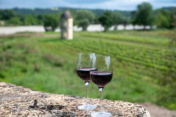 Glasses of french dry red wine in old wine domain on Graves vineyards in Portets village and old castle on background, Bordeaux, France