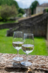 Glasses of white wine in old wine domain on Sauternes vineyards in Barsac village and old castle on background, Bordeaux, France