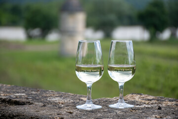 Glasses of white wine in old wine domain on Sauternes vineyards in Barsac village and old castle on background, Bordeaux, France