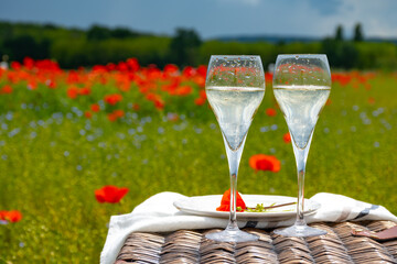Picnic on red poppies flowers field and green grass with glasses of champagne sparkling wine, cremant  or cava, summer in France, weekend background
