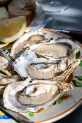 Plate with fresh live oysters with citron, bread, butter and white wine served at restaurant in...