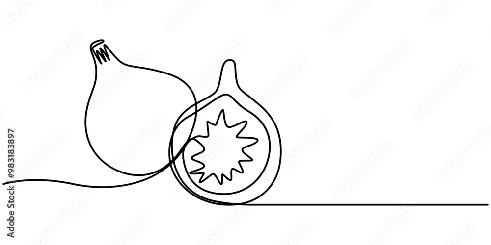 Wall mural purple fig fruit vector color illustration, line drawn sketch for label design. one continuous line 