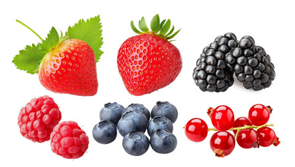 wild berries mix, strawberry, raspberry, currant, blueberry, cranberry, blackberry isolated on white background, clipping path, full depth of field