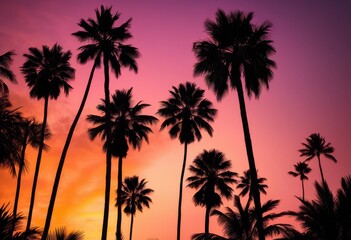 vibrant silhouettes palm trees radiant sunset sky displaying warm hues yellow, color, orange, pink, tropical, evening, landscape, backdrop, scenery, horizon