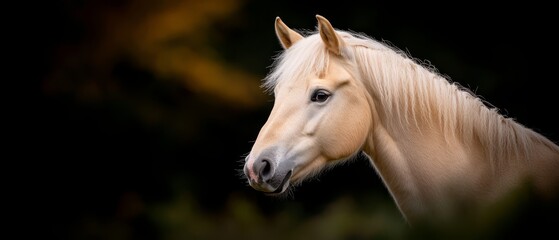 Obraz premium A tight shot of a horse's head against a backdrop of indistinct grass and trees