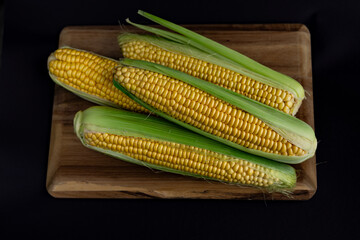 Freshly harvested corn cobs with husks placed on a wooden cutting board, ready for cooking on dark background. Concept of healthy food, organic farming, and seasonal harvest. Low key photo. Close-up