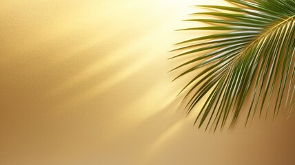A leafy green palm tree is the main focus of this image