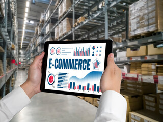 E-commerce data software provide modish dashboard for sale analysis to the online retail business