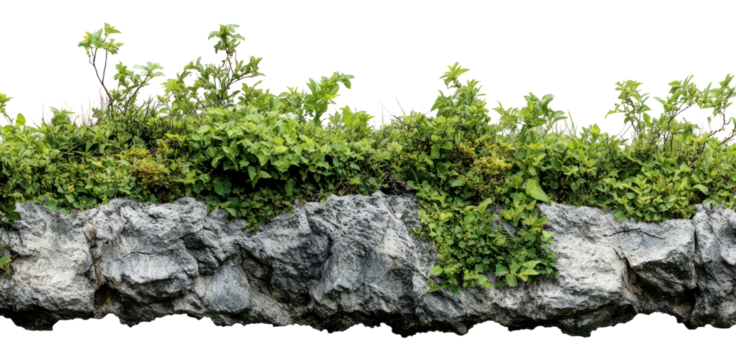 Real manmade landscape border architecture vegetation building.