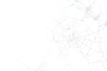 Spider web blackboard spider web texture.
