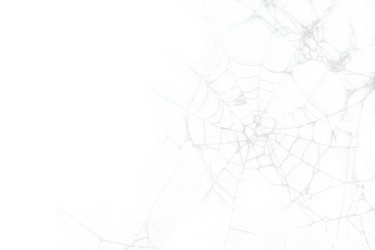 Spider web blackboard spider web texture.