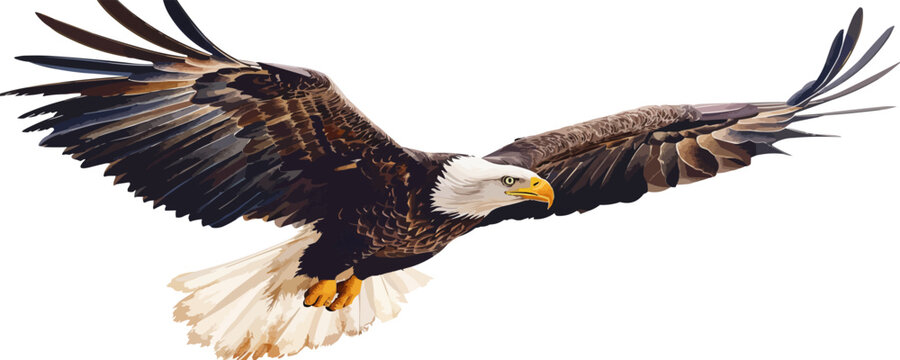 A majestic eagle soaring through the air with its wings outstretched on a white background. Vector flat minimalistic isolated illustration.