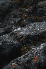 Close-up of a rock covered in green moss