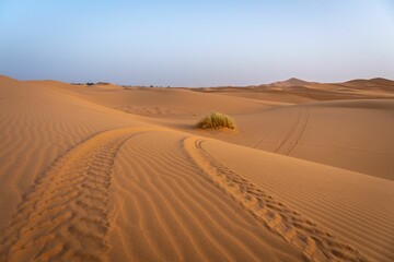 Serene desert landscape with sand dunes and vehicle tracks