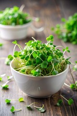 Fototapeta premium Micro greens superfood. Green sunflower sprouts close up in a bowl. Germination sprouting and healthy eating and living. Gardening at home kitchen concept. Microgreens food. Copy space