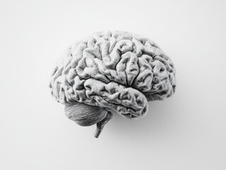 Brain Model with White Dots