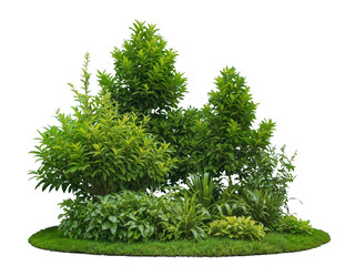 Green park botanical garden with mixed ornamental trees, shrubs, and dense foliage isolated on transparent background, perfect for botanical gardening, landscape design, outdoor decor. Generative AI