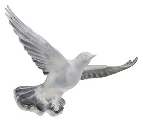 Fototapeta premium PNG Animal bird seagull flying.