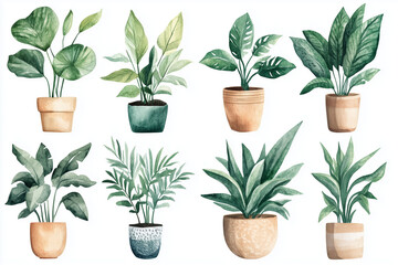 Obraz premium Watercolor Indoor Potted Plants