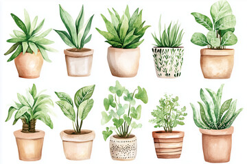 Fototapeta premium Watercolor Indoor Potted Plants