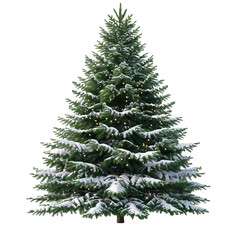 Fototapeta premium christmas tree isolated on white