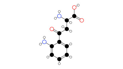 kynurenine molecule, structural chemical formula, ball-and-stick model, isolated image metabolite