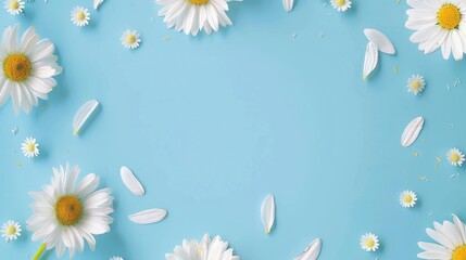 Obraz premium Floral frame background of Plain light blue paper structure background with blank copy space in the middle, on top of the background are smller and bigger daisy blossoms scatterd arround