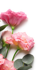 Fototapeta premium Beautiful pink eustoma flowers and eucalyptus on white background