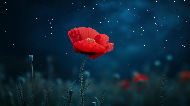 Red poppy flower on the background of blue starry sky, night flower, shining lights