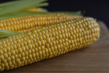 Macro shot of ripe yellow corn on the cob with husks, highlighting natural texture and freshness for organic food and healthy eating concepts. Low key photo. Close-up. Selective focus.